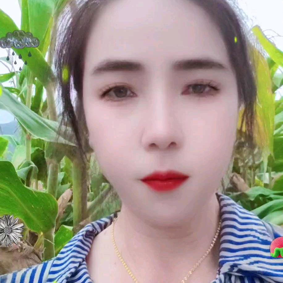 己经回不到丛前的我了