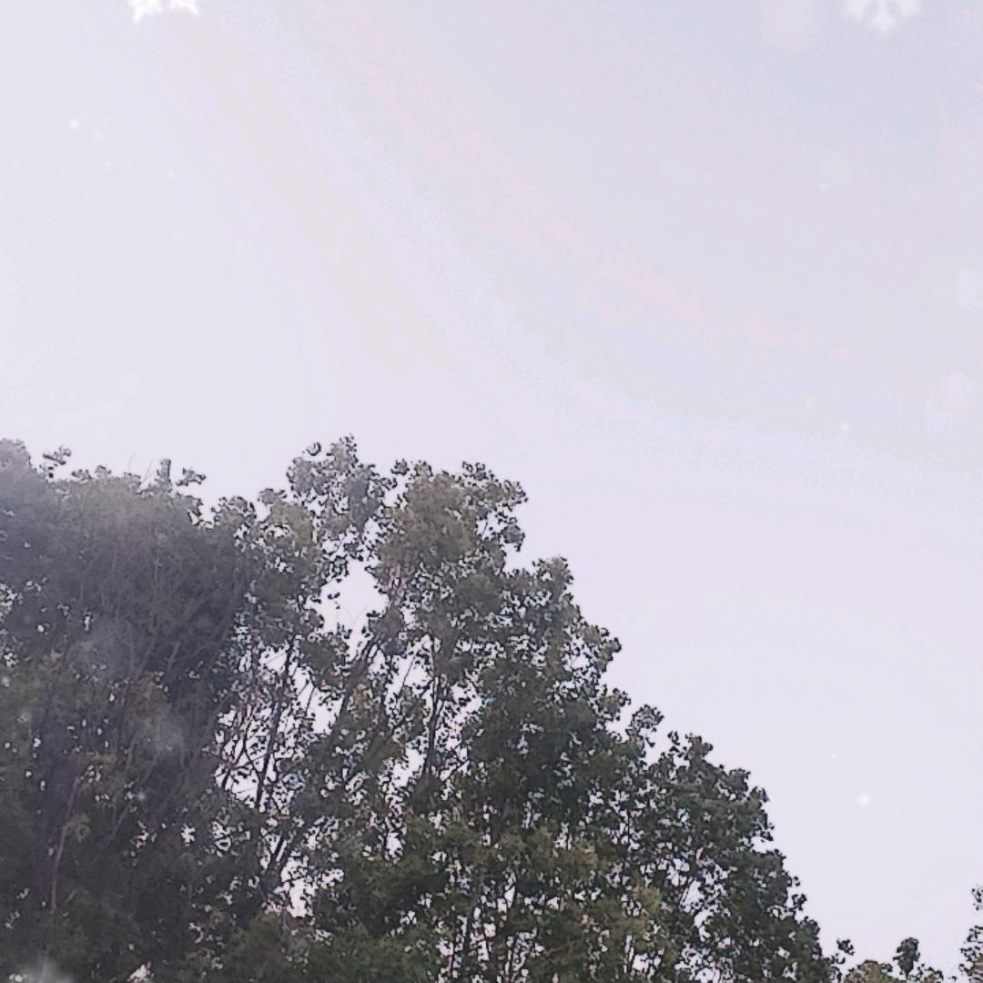 老，刘