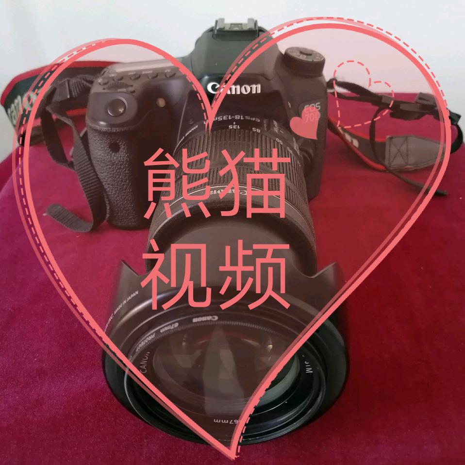 聚宝盆（橱窗）