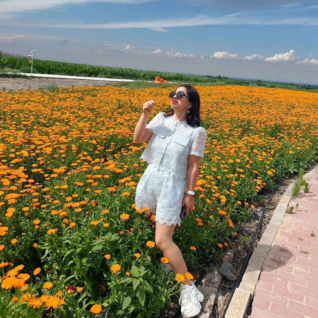 逆流花香《回》