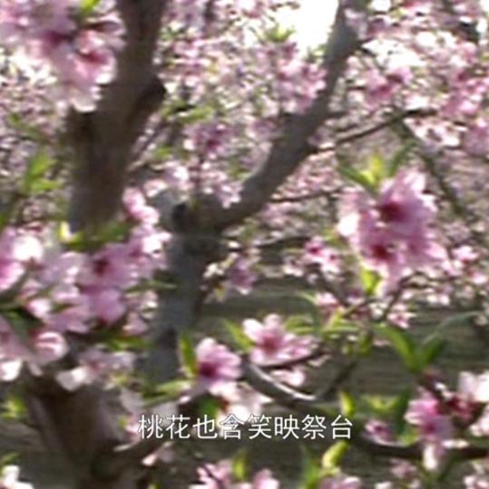 江山美