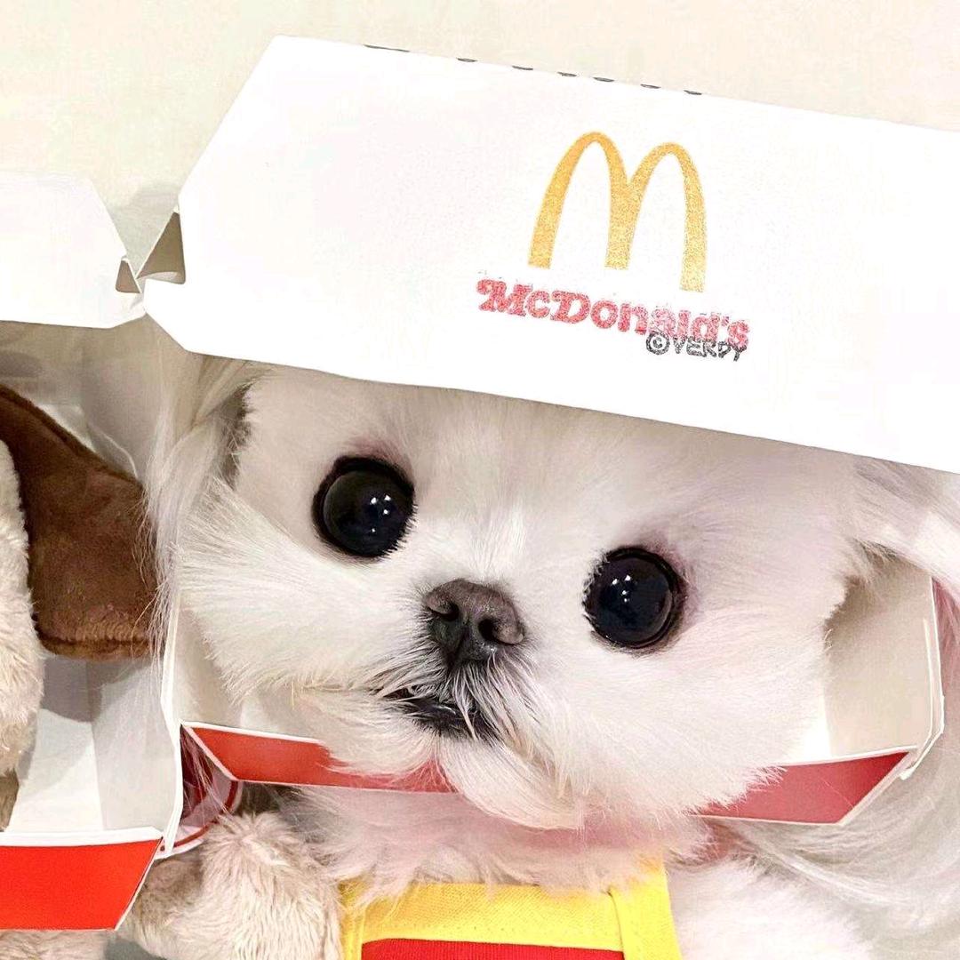 梦不然