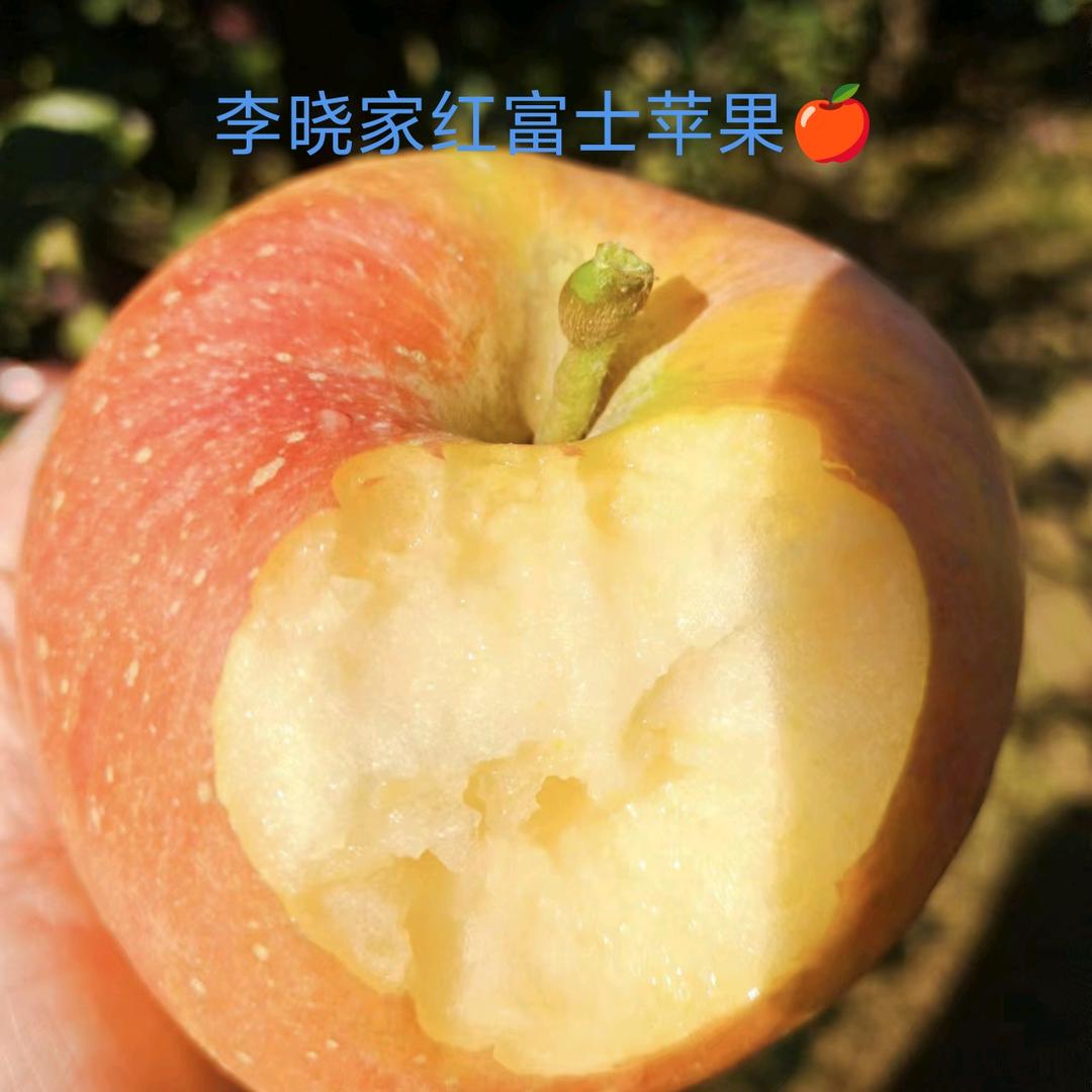 李晓~石家河红富士苹果~申通快递