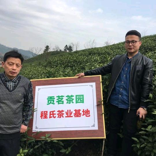 @大别山茶行二店程先生