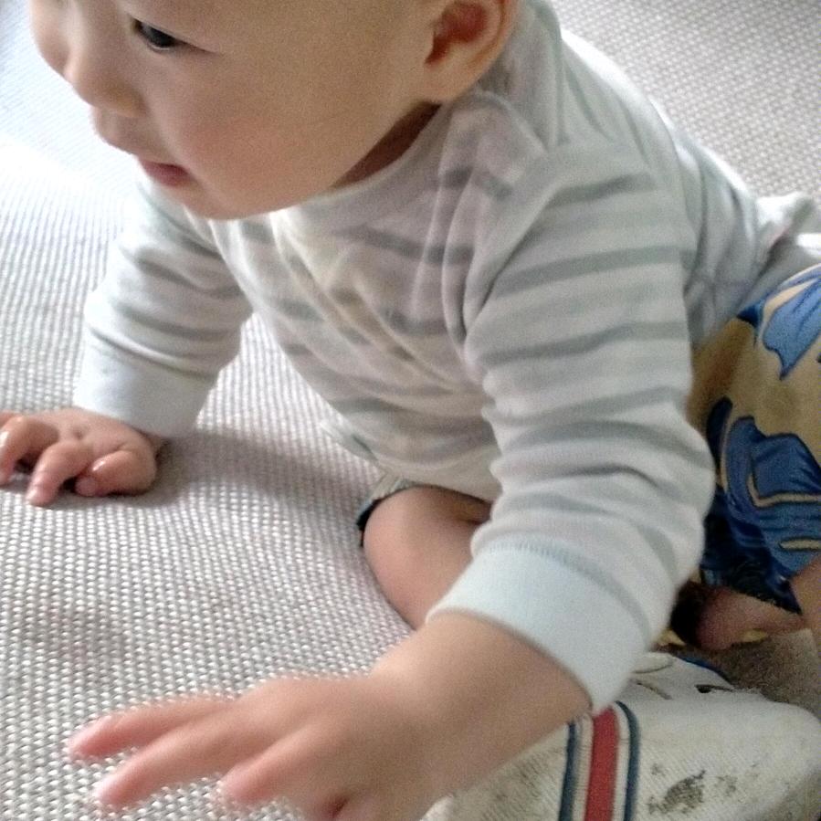 老有所爱。开心…