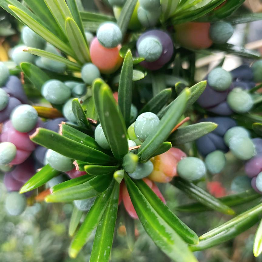 微笑背后谁懂我的心酸和无奈