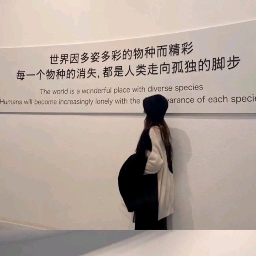 初见