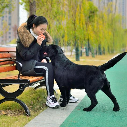 小美之家·Kennel