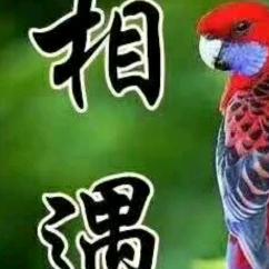 平凡大叔