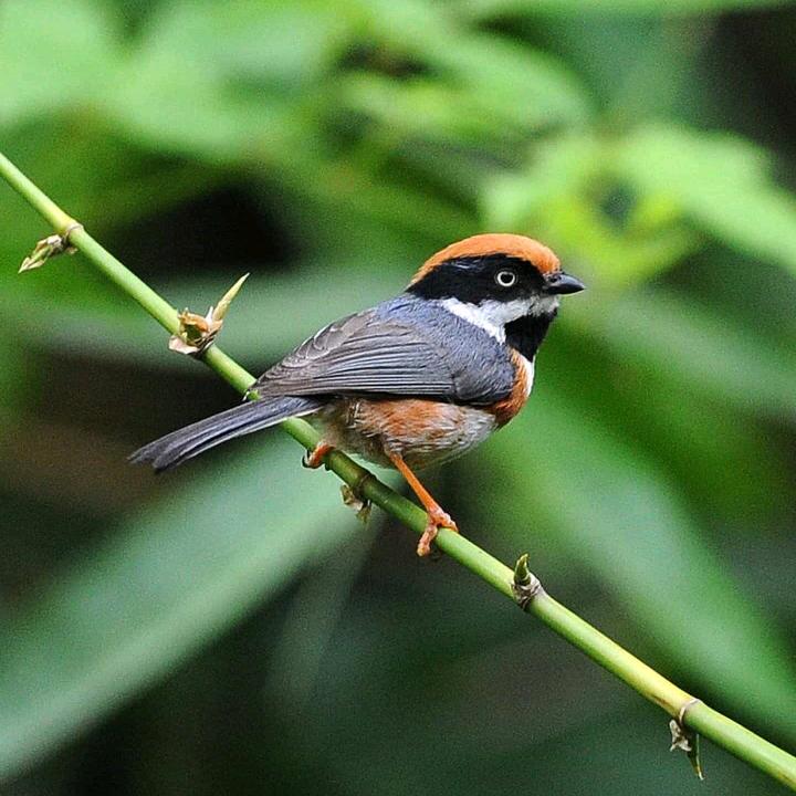 年年有余零辅食甄选店