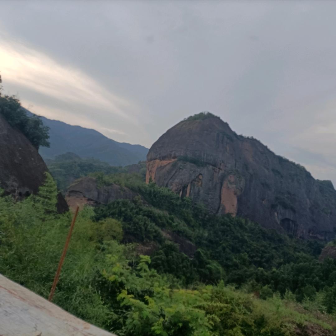 🎄顺❤️利🍏成🤝张💋