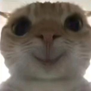 梦怜