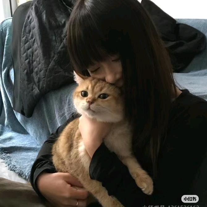 俺要讨个说法