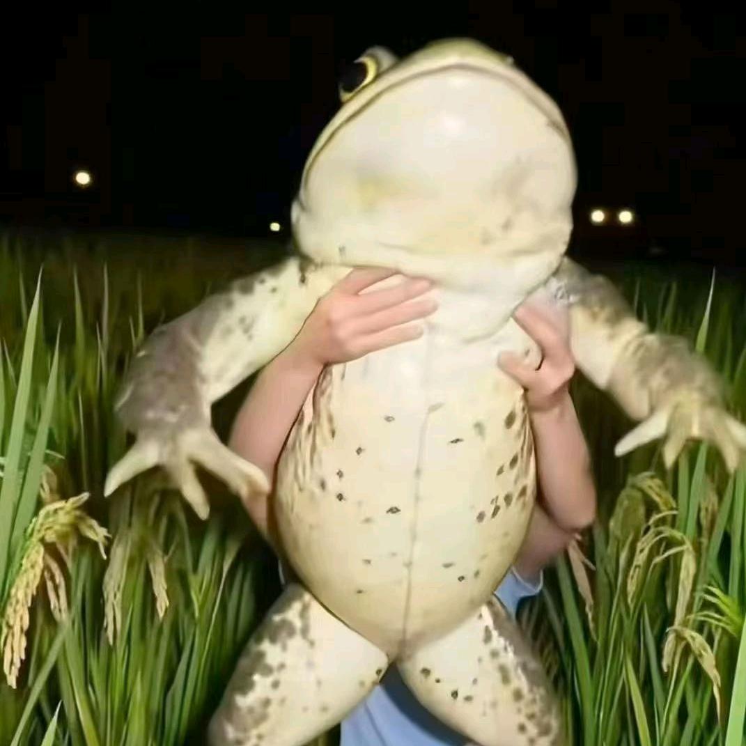 半颗糖@
