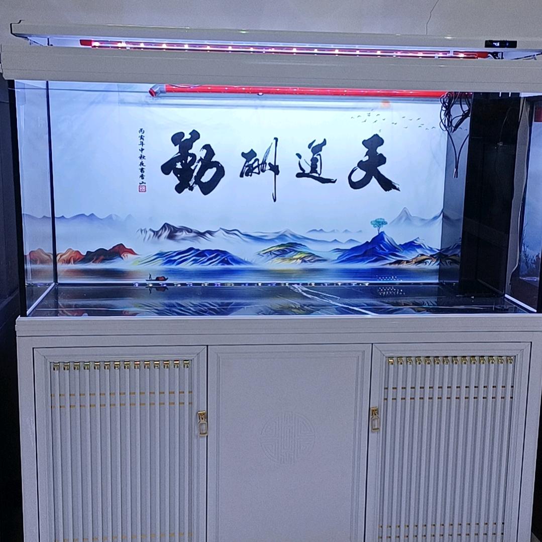 雄县金准水族用品店