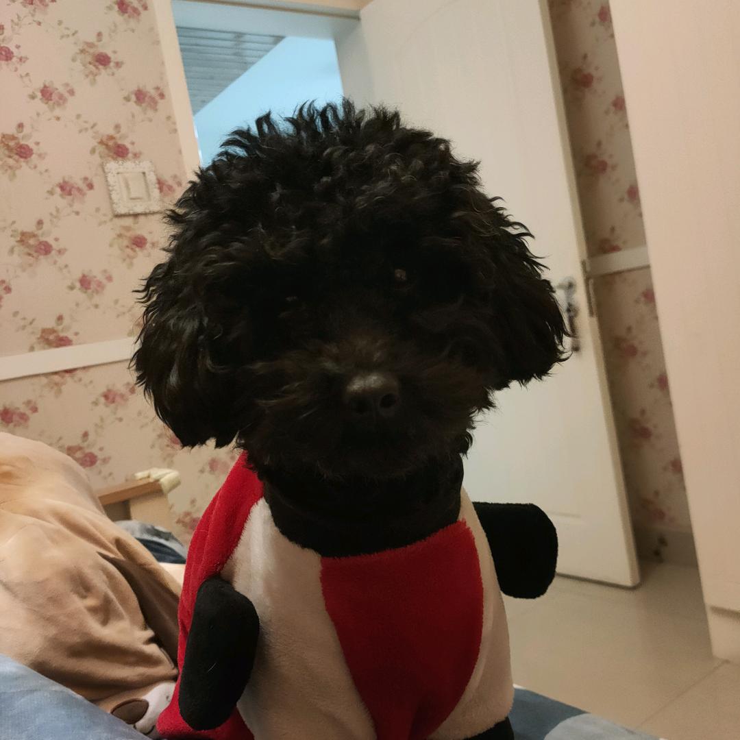 千亿