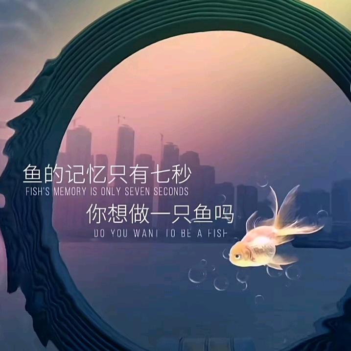 缓缓归