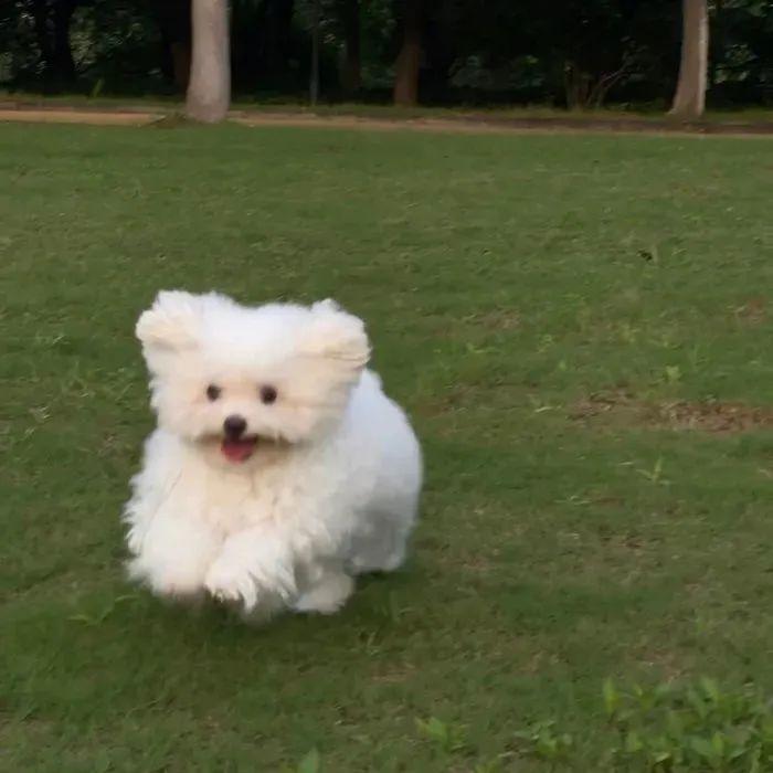 园小小🌟