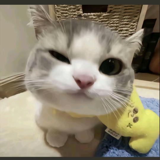 麻辣烫子