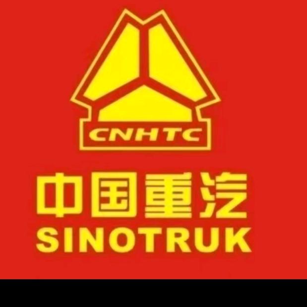 出口豪沃国二国三大泵