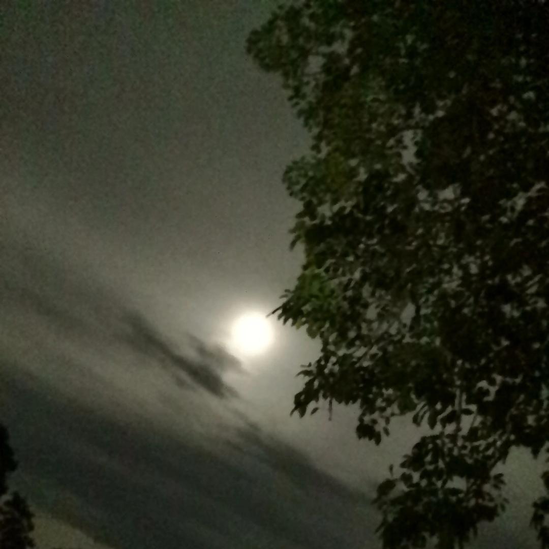 ～