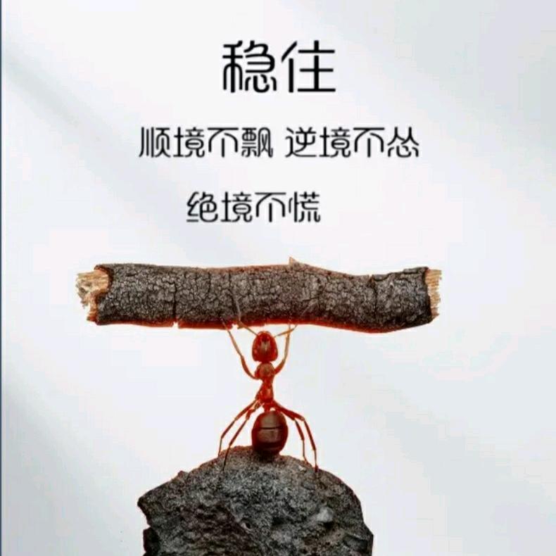 俗 人