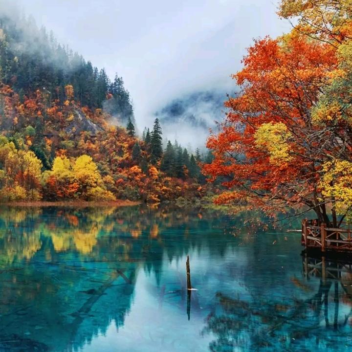 风之恋景