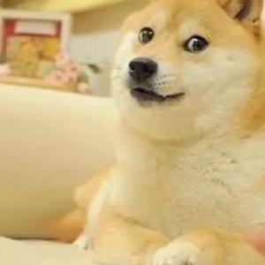 不知道