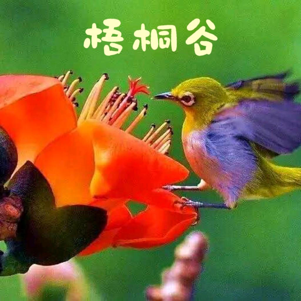 淮北市梧桐村孙文教: