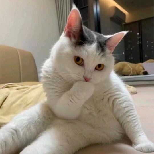 (美好的未来)