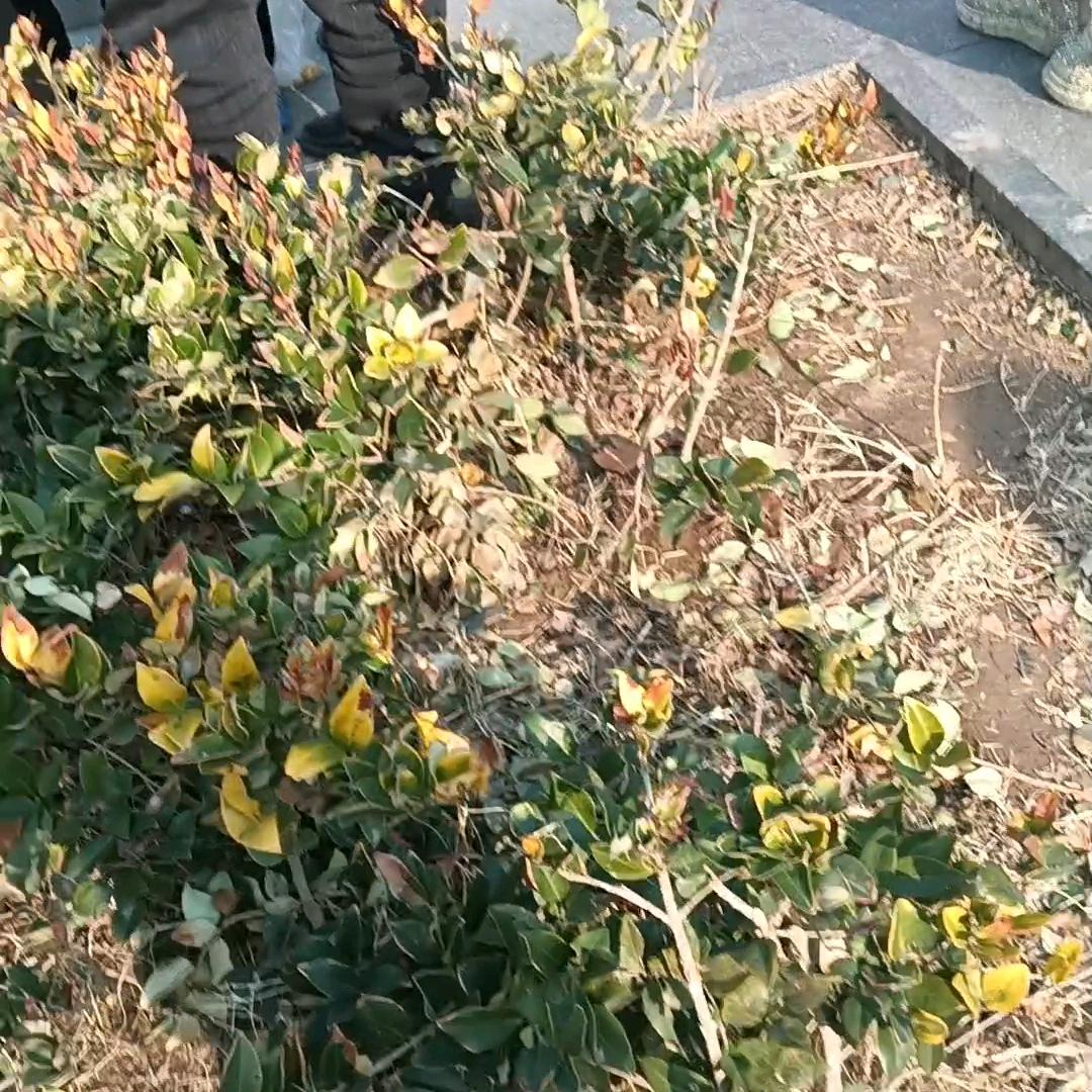 用户5700336807心想事成