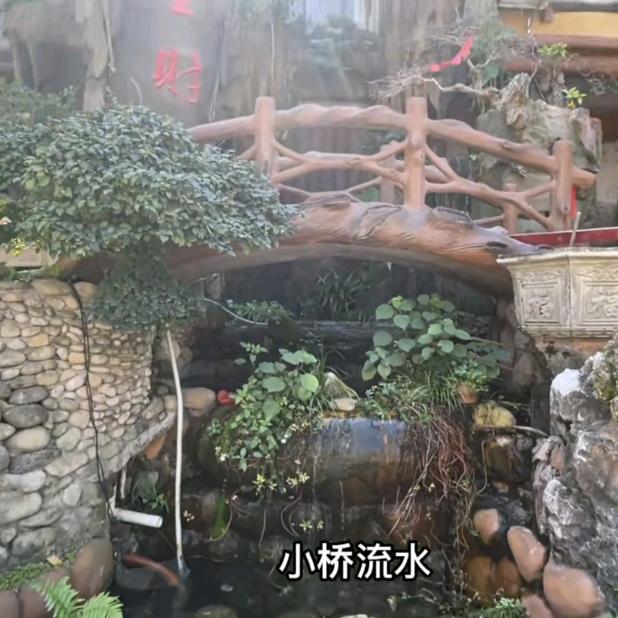 小哥哥小姐姐呀