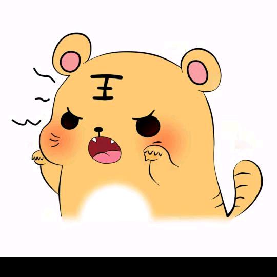 家宝