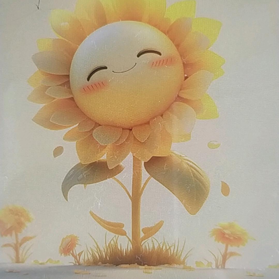 SALOMON萨洛蒙直播号