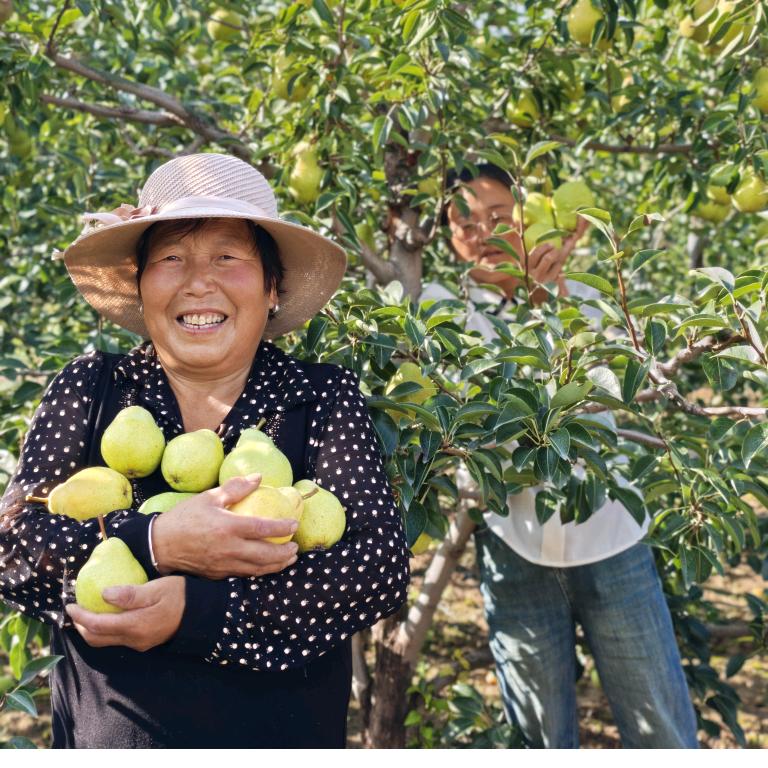 星甘农产品小店
