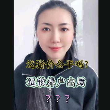 兽医猪妹养殖