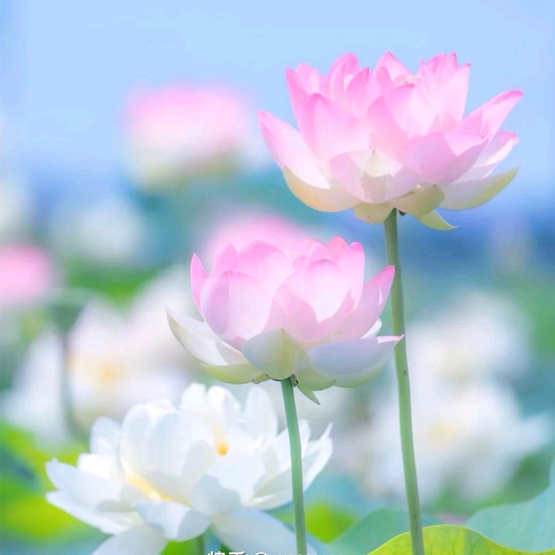 💞一切꧔ꦿ᭄ 随缘ഒ᭄💕