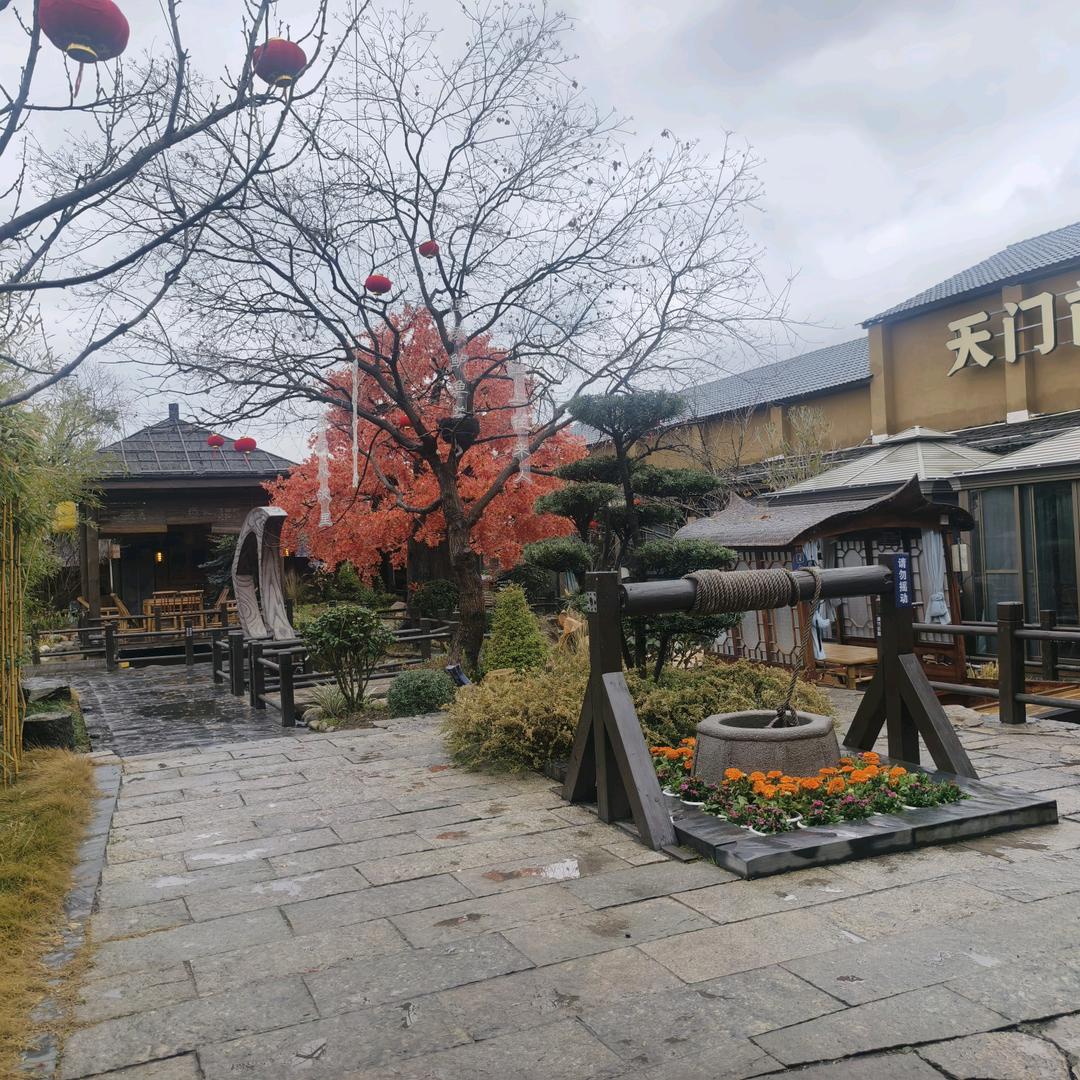 大白的美好生活