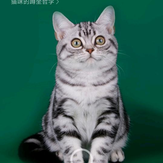 人间无事人