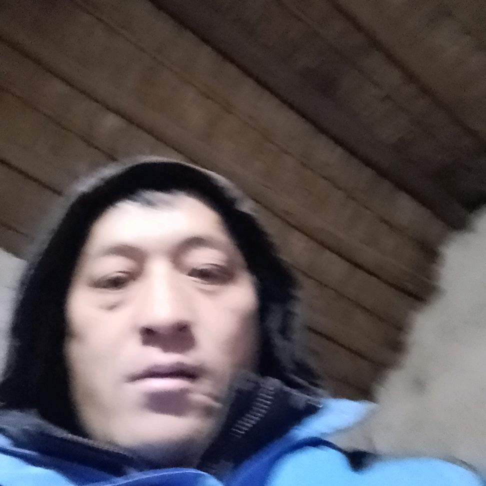 梦悦鸽舍