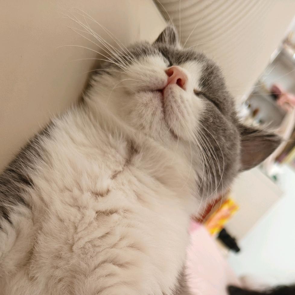 十二er