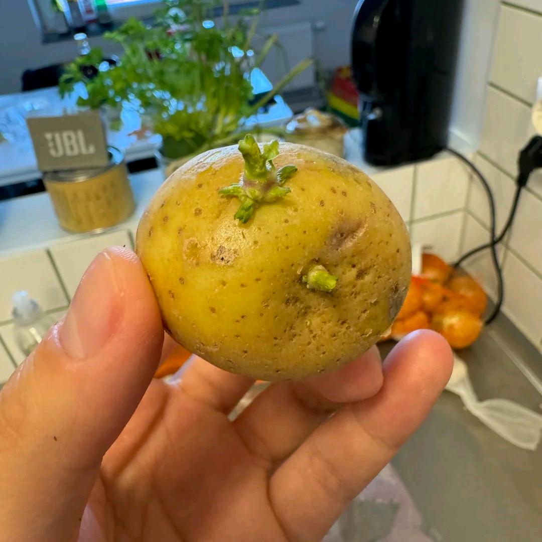 环霖俏商行