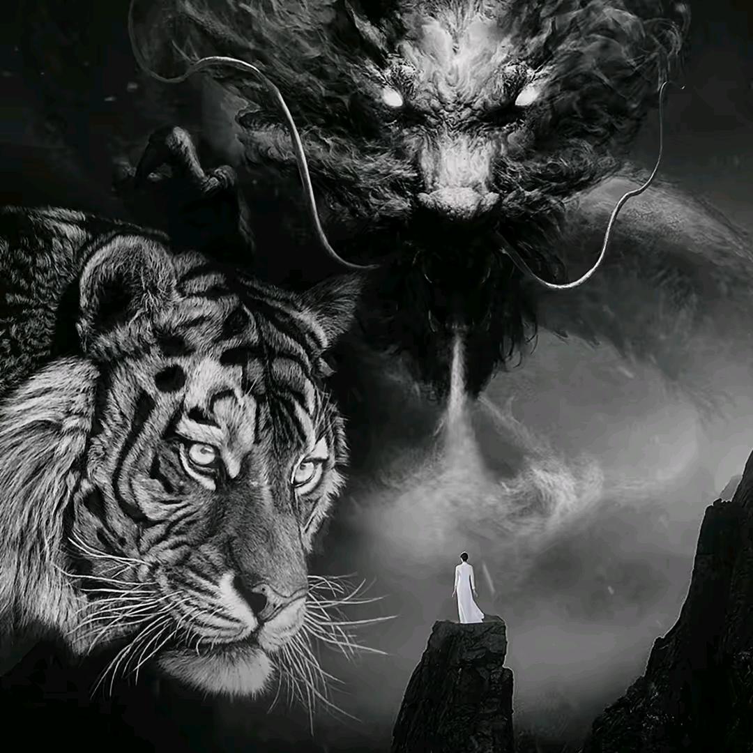 清风伴扶摇