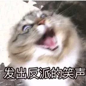 算了吧