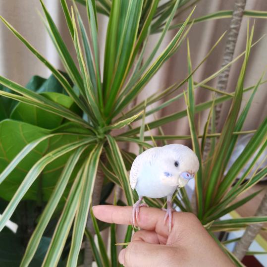 宝安 陶瓷批发 钟姐