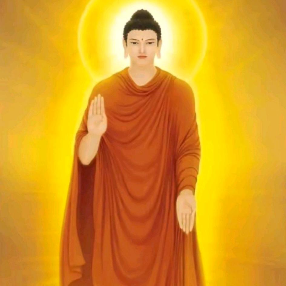 ✨探秘奇闻异事✨
