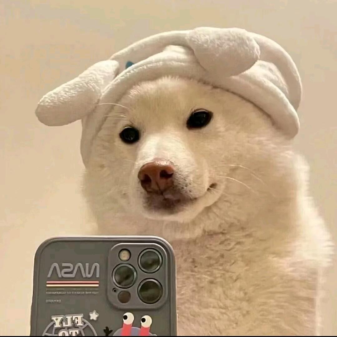 归期
