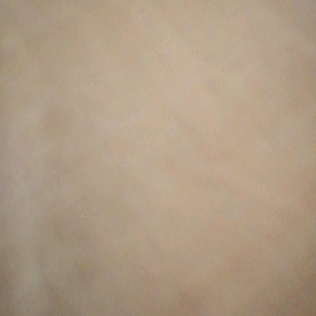 李建