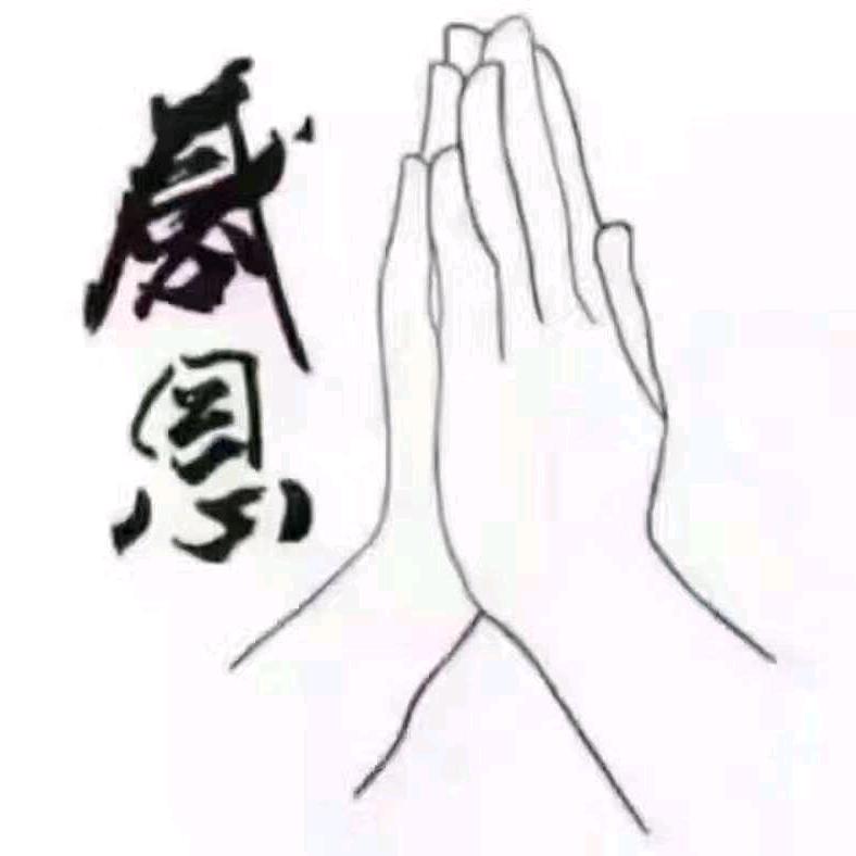 ✧往事随风散✧
