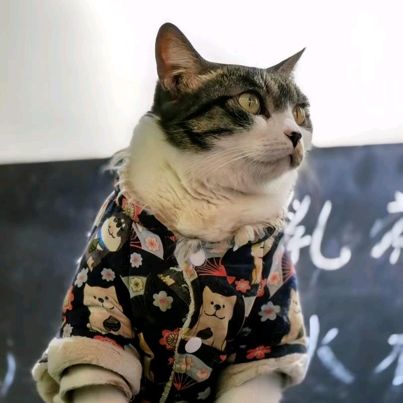 袁